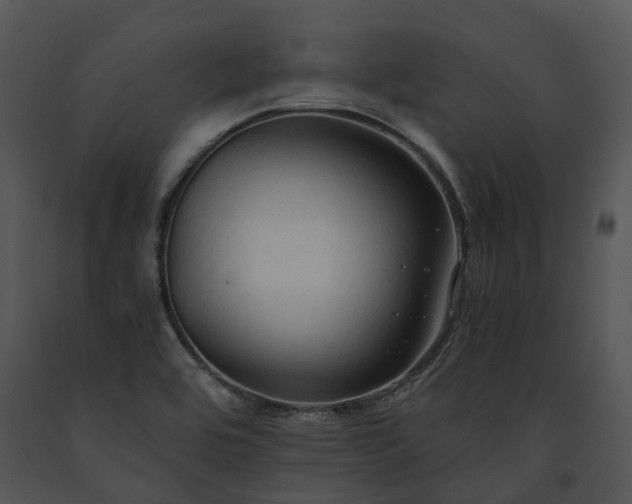 X0000091681464200708301510