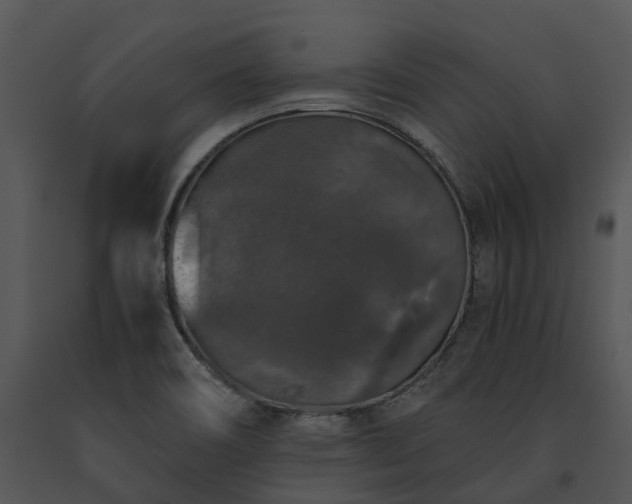 X0000091681466200708301510