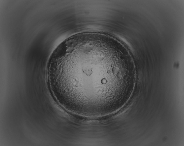X0000091681467200708301510