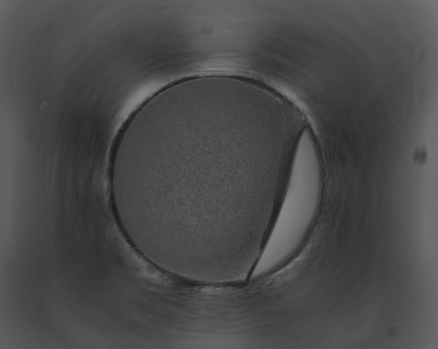 X0000091681469200708301510