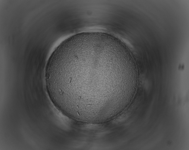 X0000091681470200708301510