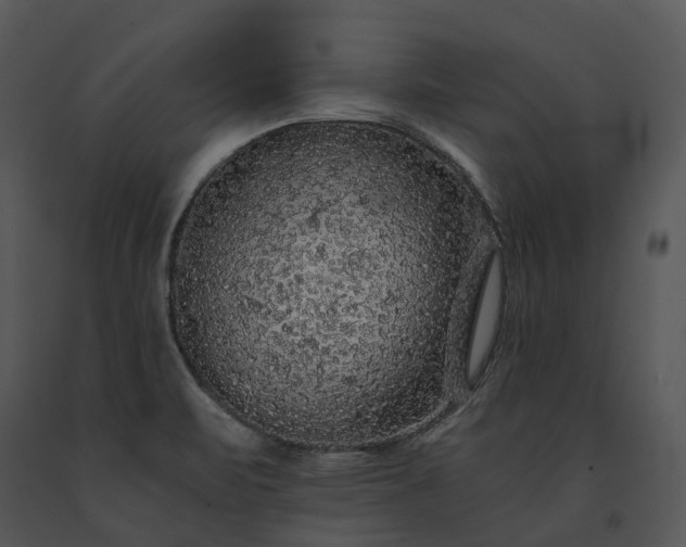 X0000091681471200708301510