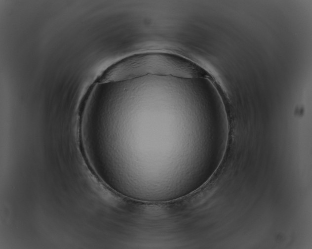 X0000091681472200708301510