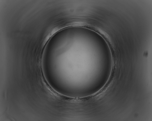 X0000091681473200708301510
