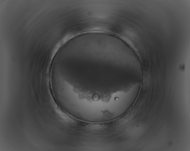 X0000091681474200708301510