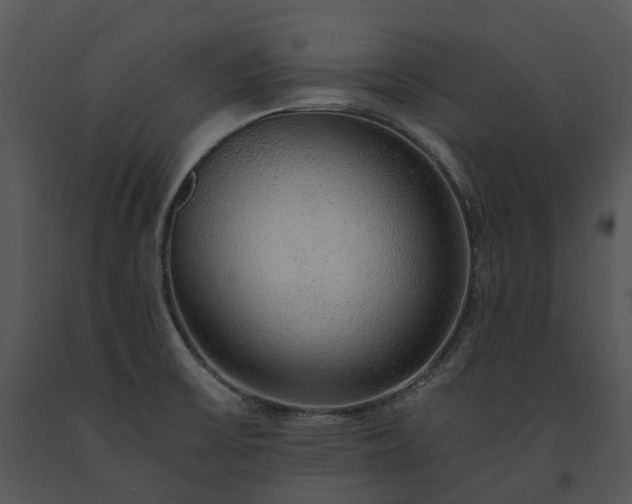 X0000091681475200708301510