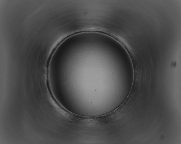X0000091681476200708301510