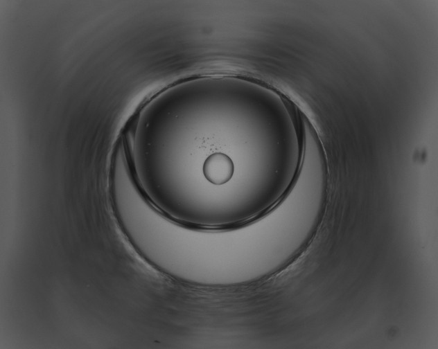 X0000091681477200708301510