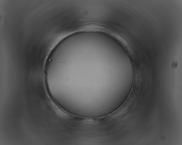 X0000091681478200708301510