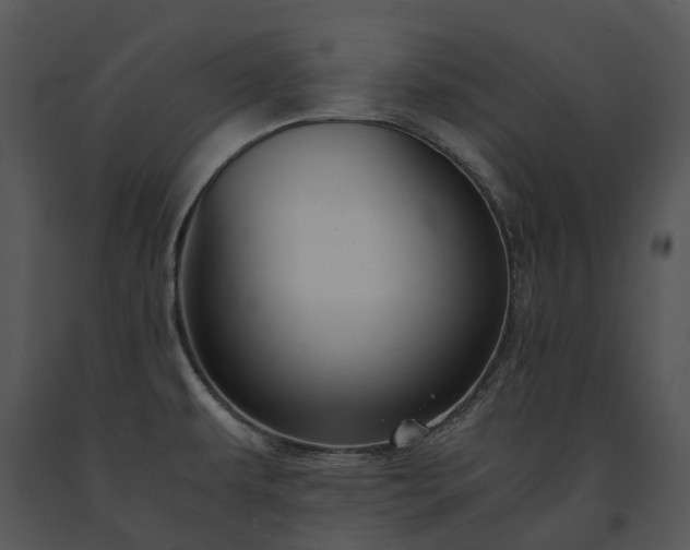X0000091681479200708301510