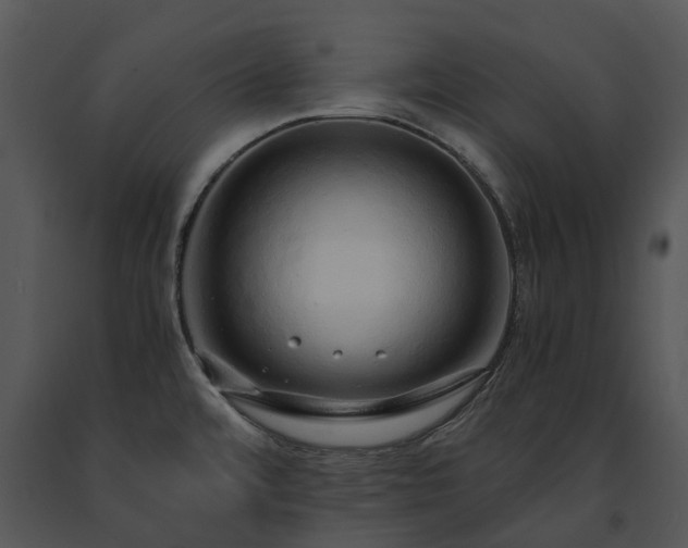 X0000091681480200708301510