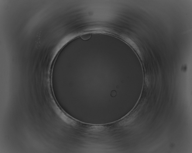 X0000091681482200708301510