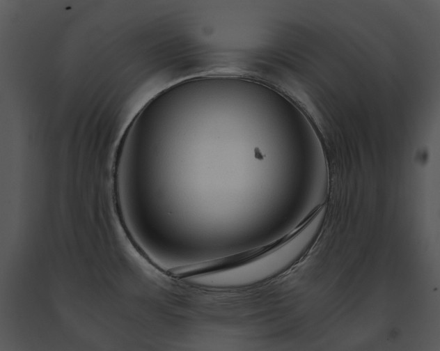 X0000091681483200708301509
