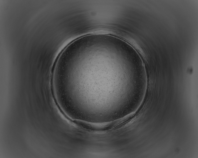X0000091681484200708301509