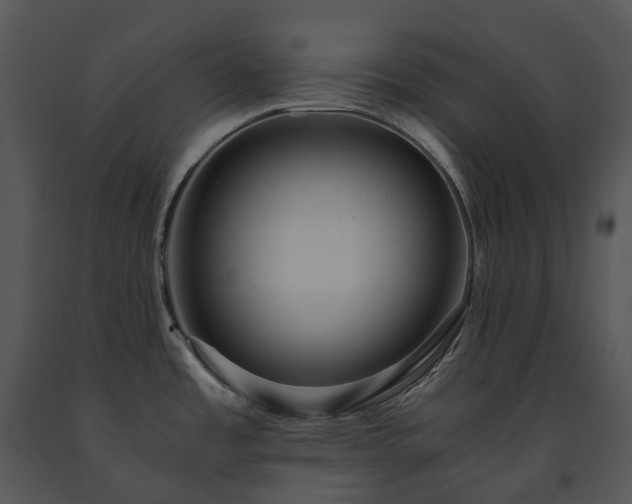 X0000091681485200708301509