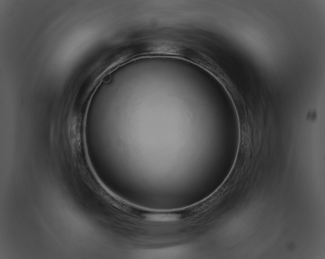 X0000091681487200708301509