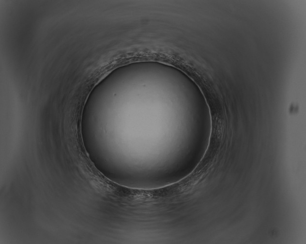 X0000091681489200708301509