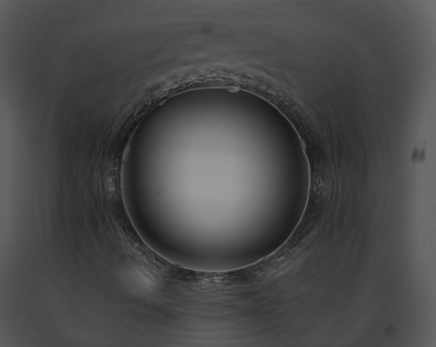 X0000091681490200708301509