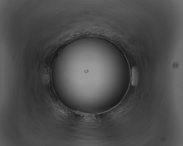 X0000091681491200708301509