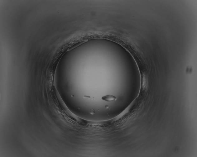 X0000091681492200708301509