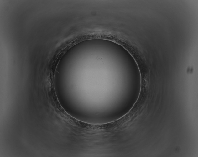 X0000091681493200708301509