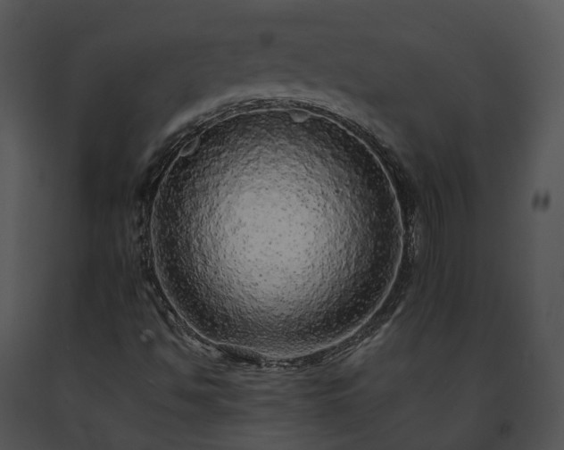 X0000091681494200708301509