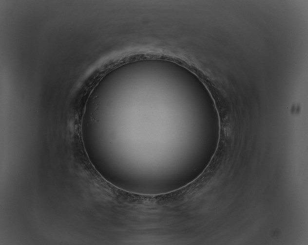 X0000091681495200708301509