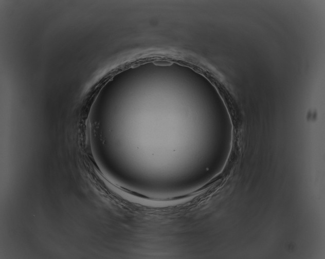 X0000091681496200708301509
