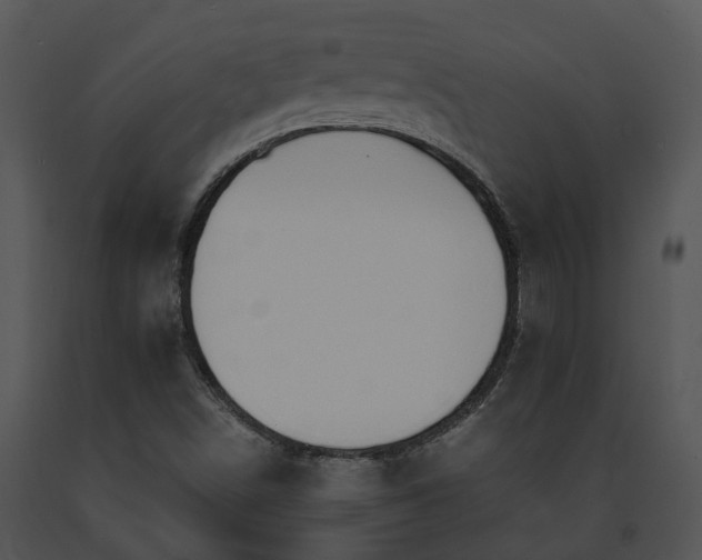 X0000091681498200708301509