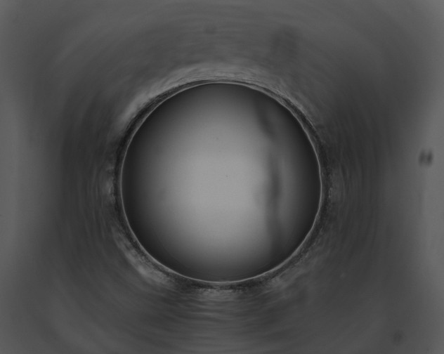 X0000091681499200708301509