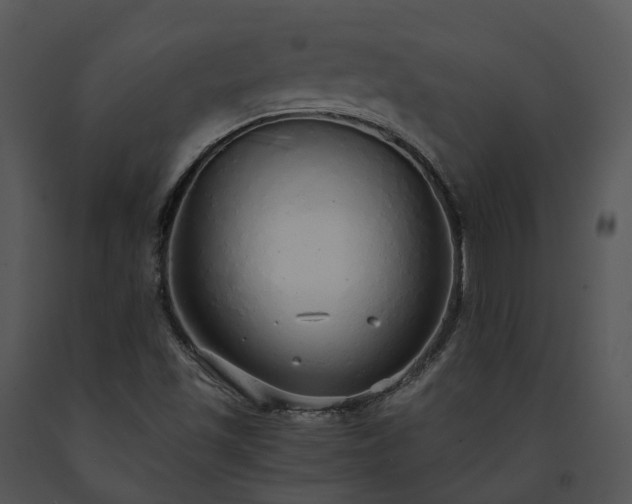 X0000091681501200708301509