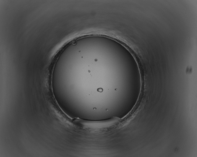 X0000091681502200708301509