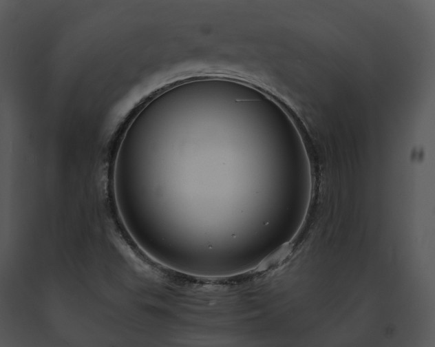 X0000091681503200708301509