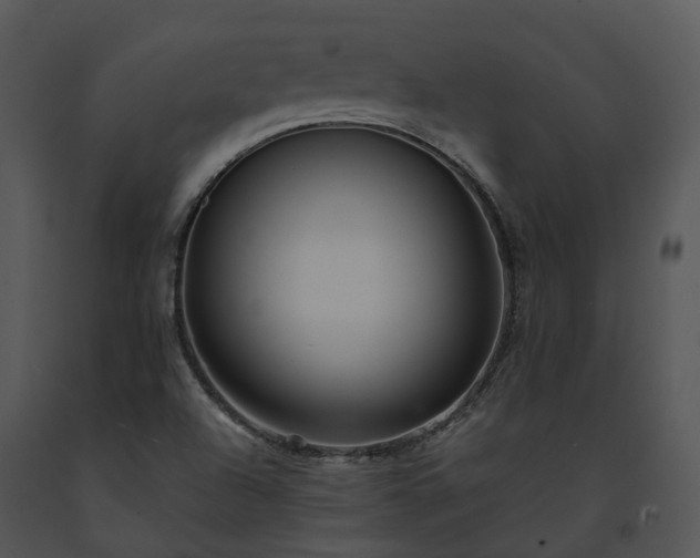 X0000091681504200708301509