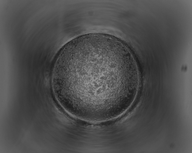 X0000091681505200708301509
