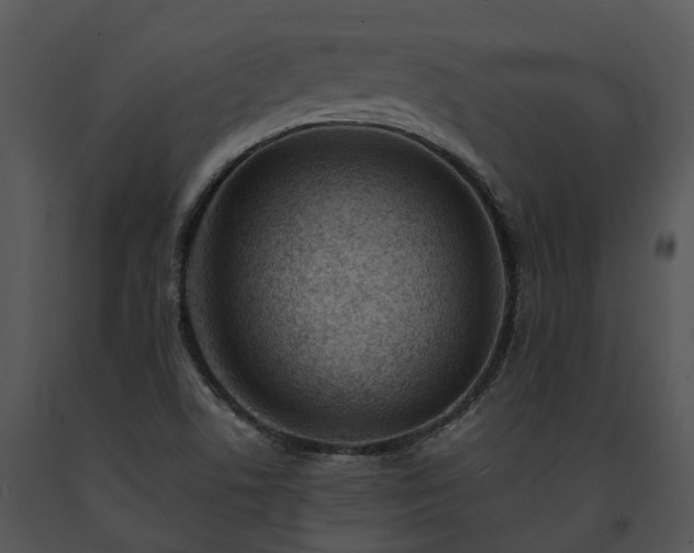X0000091681506200708301509