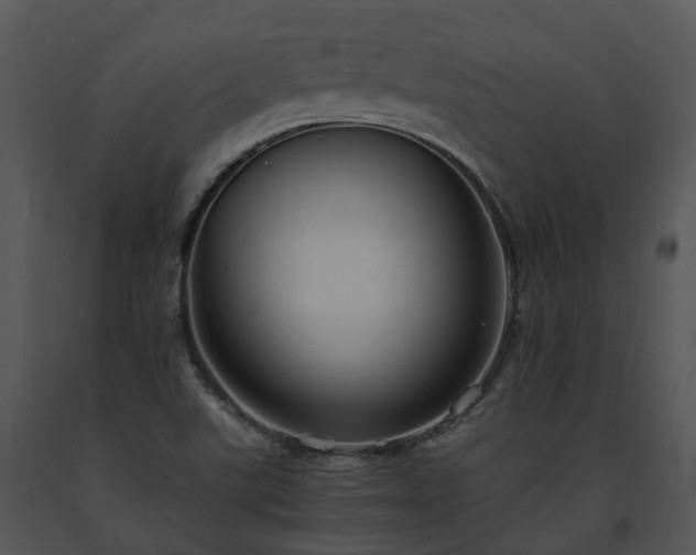 X0000091681507200708301509