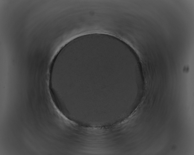 X0000091681508200708301509