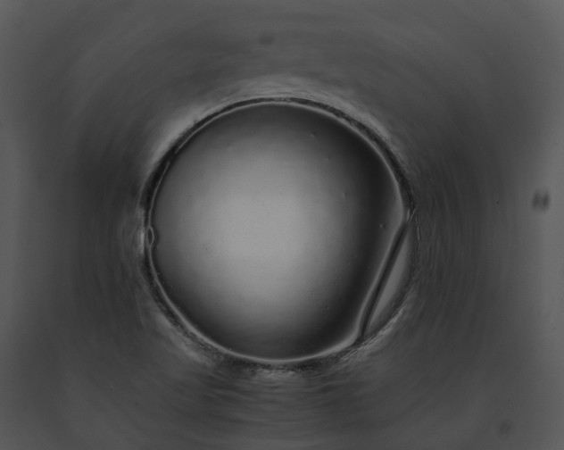 X0000091681509200708301509