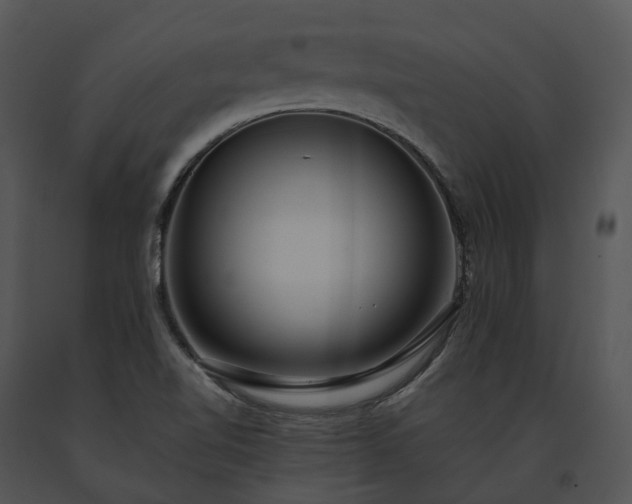 X0000091681510200708301509