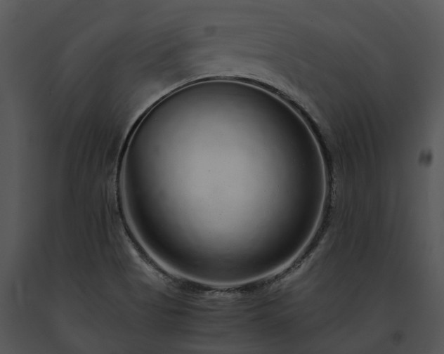 X0000091681513200708301509