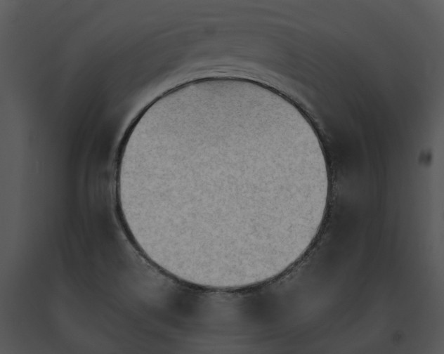 X0000091681514200708301509