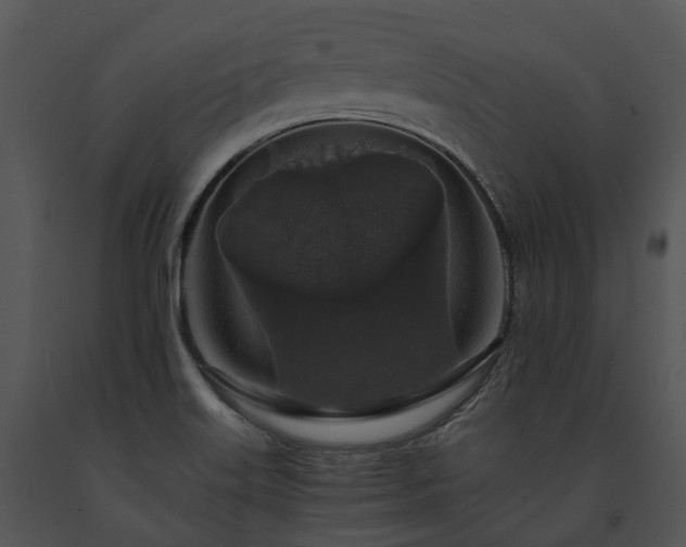 X0000091681515200708301509