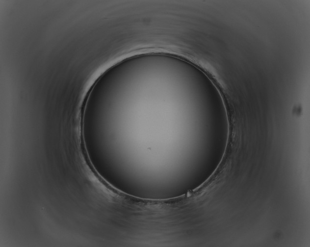 X0000091681516200708301509