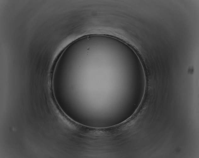 X0000091681517200708301509
