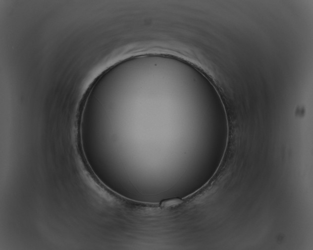 X0000091681518200708301509