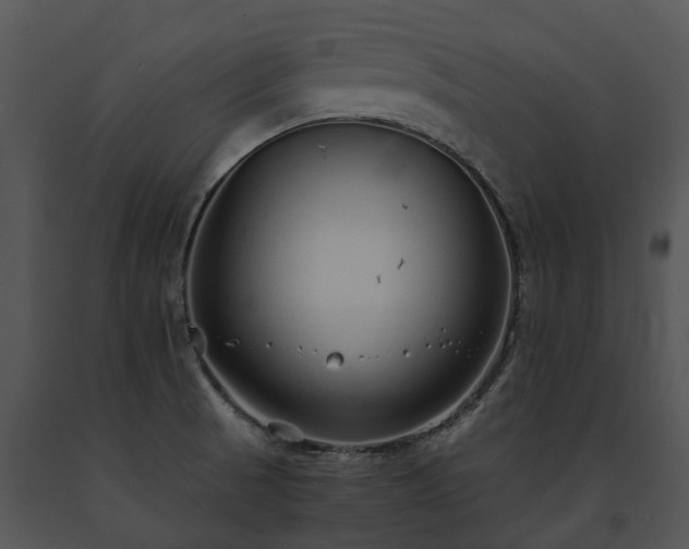 X0000091681521200708301509