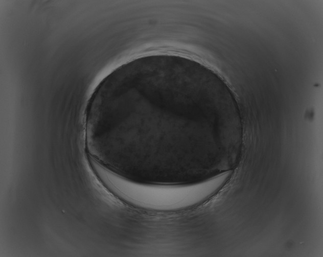 X0000091681522200708301509