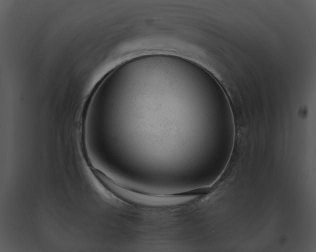 X0000091681523200708301509