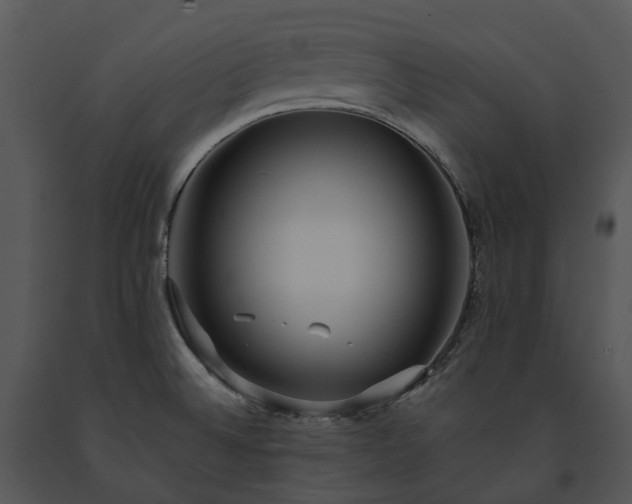 X0000091681524200708301509